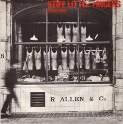 Stiff Little Fingers : Straw Dogs